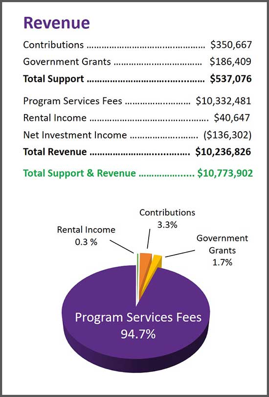 AchieveKids Revenue