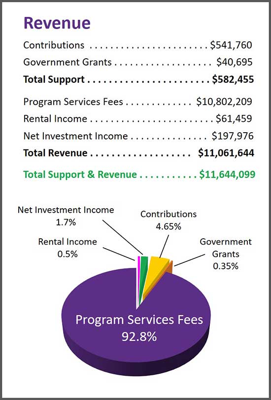 AchieveKids Revenue